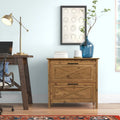 Saint Birch Houston Rustic Brown 2-drawer Lateral Filing Cabinet